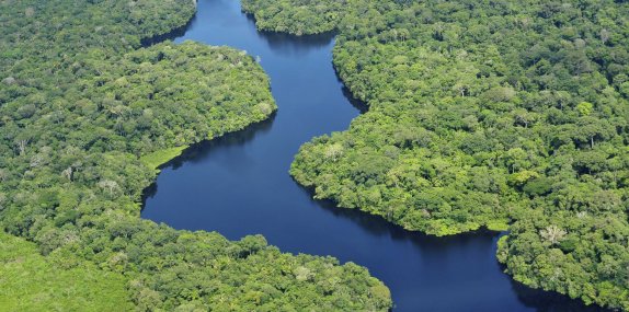 Citi becomes official signatory to the Natural Capital Declaration