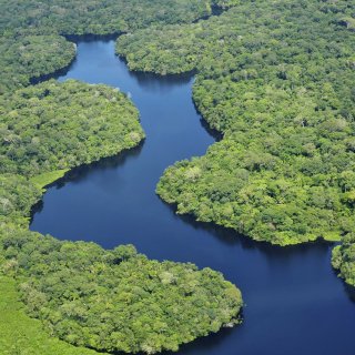 017 - Amazon Rainforest near Manaus - Neil Palmer, CIAT - A SA
