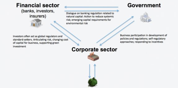 The three corners of natural capital accounting