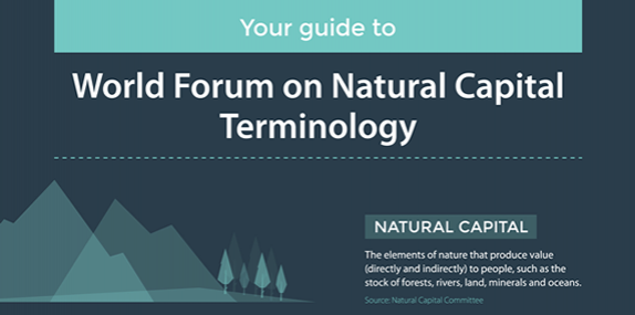 Your guide to World Forum on Natural Capital terminology