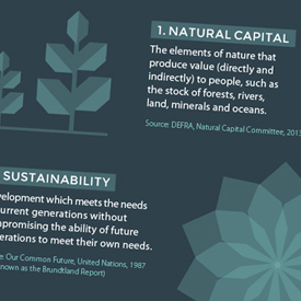 Sustainability Jargon Buster - 10 essential terms for CEOs