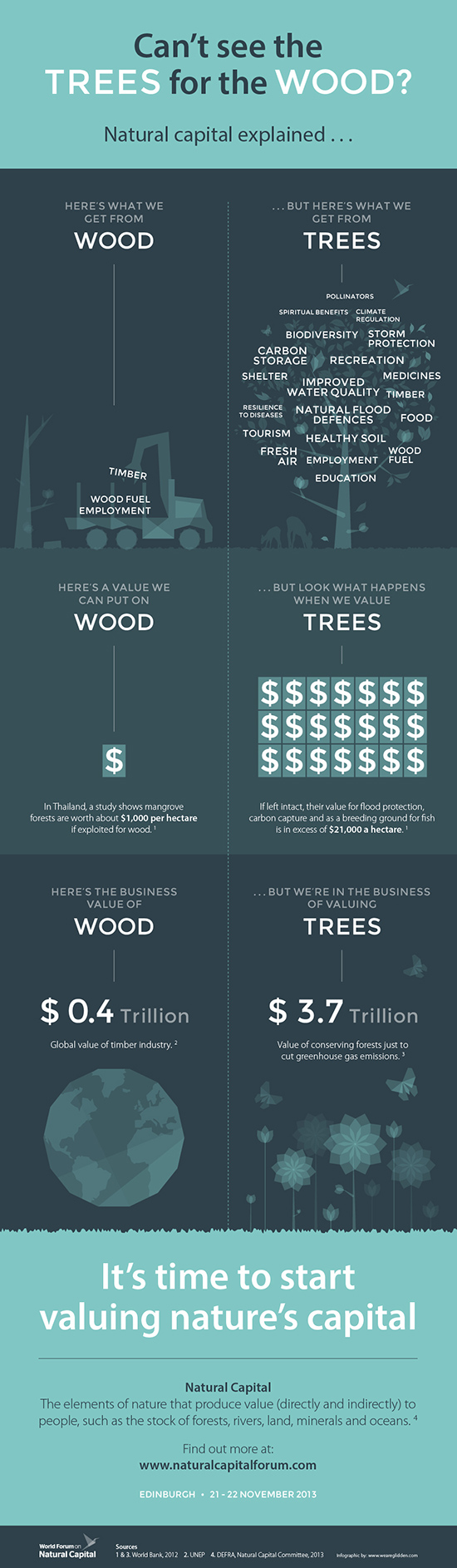 Can't see the TREES for the WOOD - Infographic