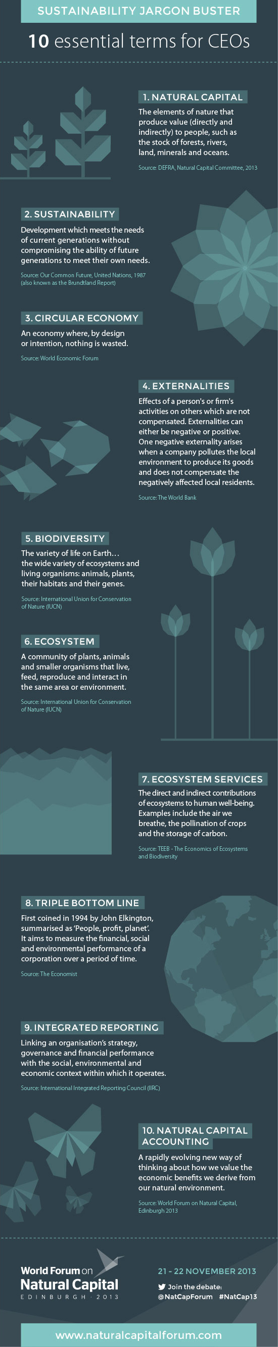 Sustainability Jargon Buster Infographic