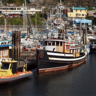 gibsons harbour