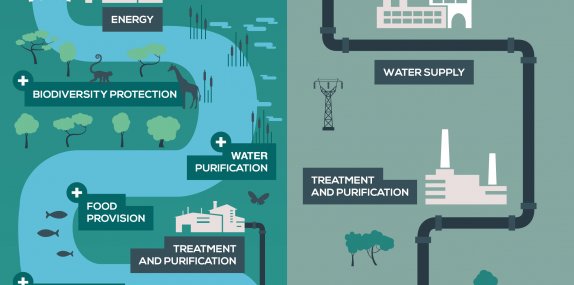 Guest blog: On valuing nature's water infrastructure
