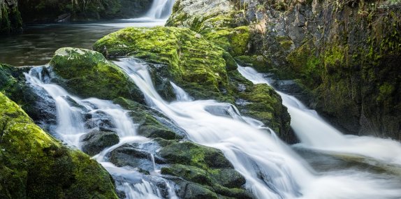 Natural Capital Protocol shapes Yorkshire Water’s asset and land management strategies